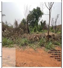 Imóvel da Caixa em CAMPO GRANDE / MS - 10198061