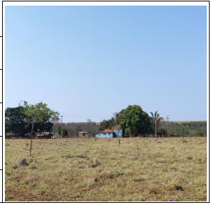 Imóvel da Caixa em CAMPO GRANDE / MS - 10207813