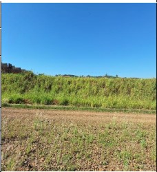 Terreno da Caixa em TAMBAU / SP - 10208976