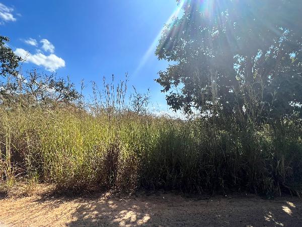 Terreno da Caixa em LUZIANIA / GO - 1444406208835