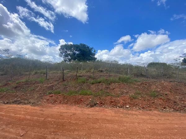 Terreno da Caixa em LAGOA DO CARRO / PE - 1444415675432