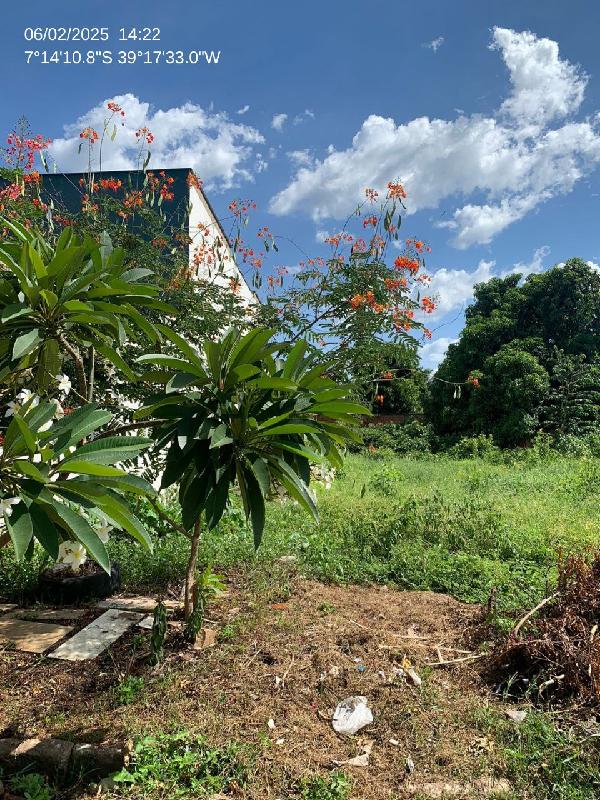 Terreno da Caixa em JUAZEIRO DO NORTE / CE - 1444418825320