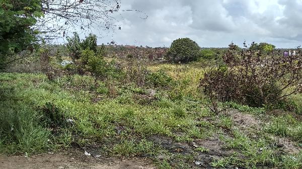 Terreno da Caixa em CAMACARI / BA - 1444419237928