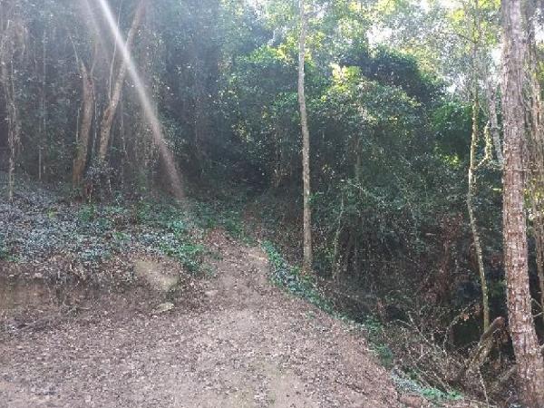 Terreno da Caixa em NITEROI / RJ - 1444419578024