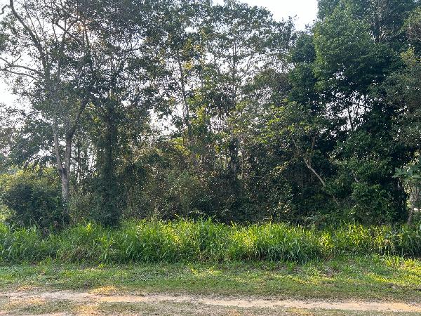 Terreno da Caixa em CRUZEIRO DO SUL / AC - 1444419970935