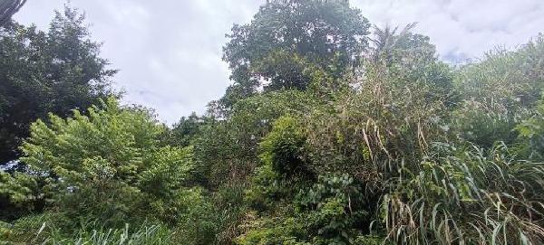 Terreno da Caixa em NITEROI / RJ - 1444420358237