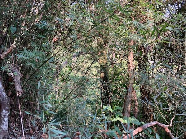 Terreno da Caixa em EMBU DAS ARTES / SP - 1444420693214
