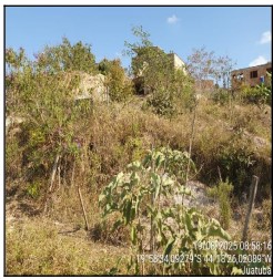 Terreno da Caixa em JUATUBA / MG - 1555528412021