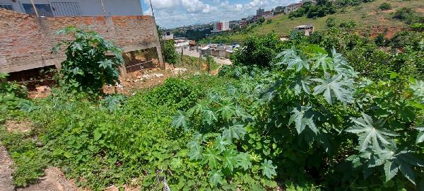 Terreno Caixa em MURIAE / MG - 8444407804308