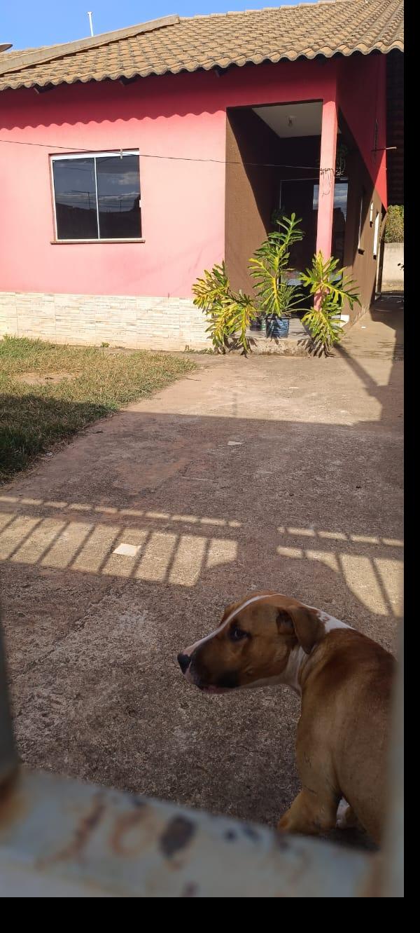 Casa da Caixa em SANTO ANTONIO DO DESCOBERTO / GO - 8444423790413