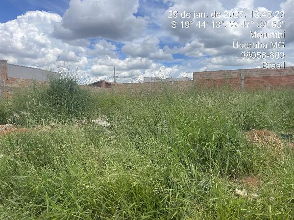 Terreno da Caixa em UBERABA / MG - 8444424868670