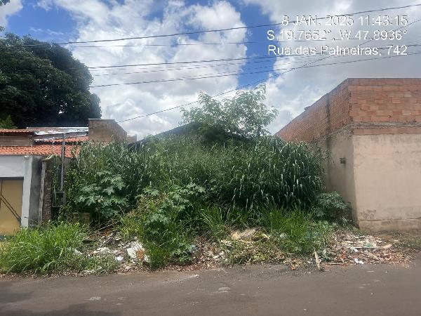 Terreno Caixa em UBERABA / MG - 8444424984807