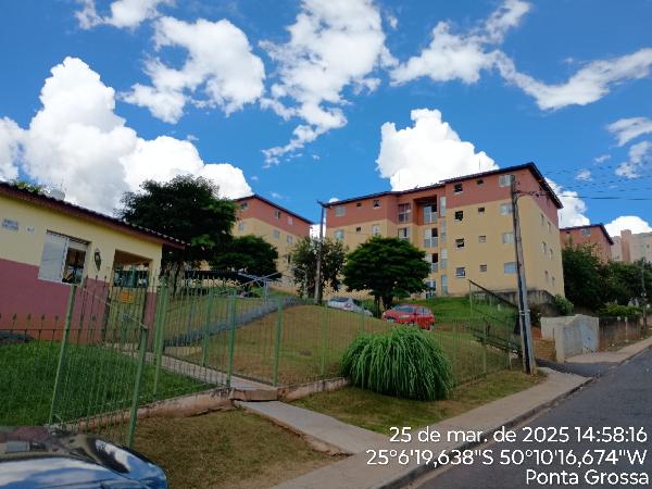 Apartamento da Caixa em PONTA GROSSA / PR - 8444432655906