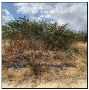 Terreno da Caixa em CARUARU / PE - 10274835