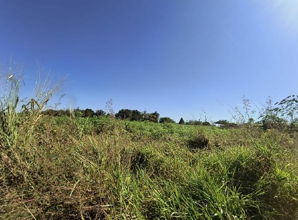 Terreno da Caixa em ACAILANDIA / MA - 1444402740583