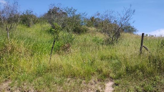 Terreno da Caixa em TANGUA / RJ - 1444406271600