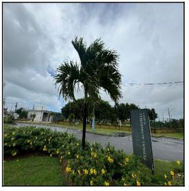 Imóvel da Caixa em BARRA DOS COQUEIROS / SE - 1444418465641