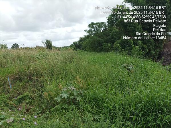 Imóvel da Caixa em PELOTAS / RS - 1444421645558