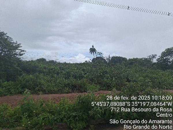 Imóvel da Caixa em SAO GONCALO DO AMARANTE / RN - 1555531762526