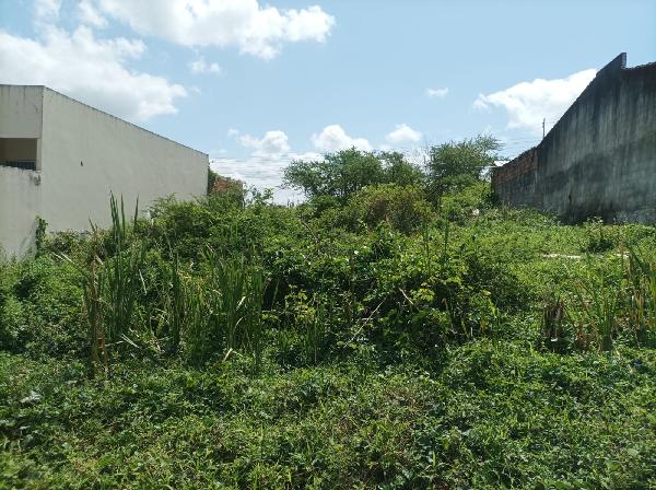 Imóvel da Caixa em NOSSA SENHORA DO SOCORRO / SE - 8444419901400