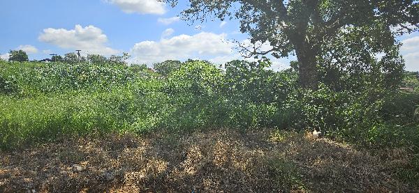 Terreno da Caixa em CAPIVARI / SP - 8444424404347