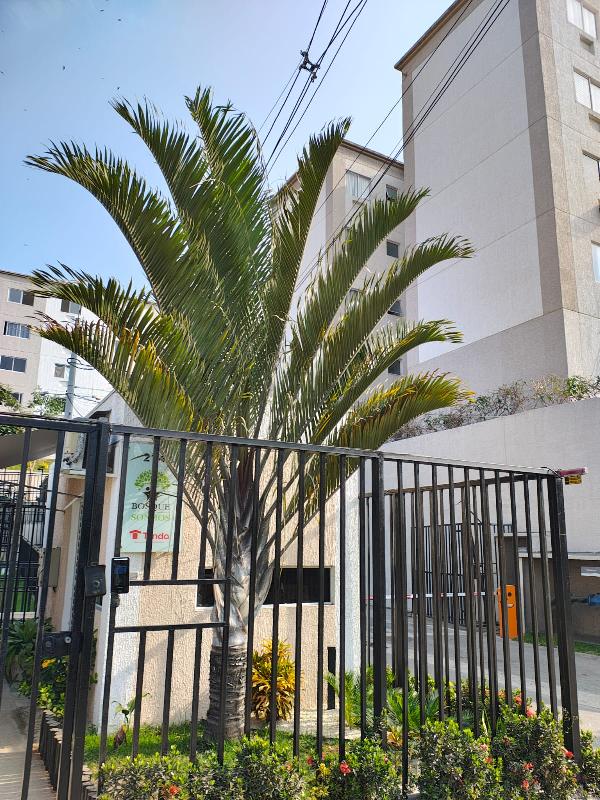 Apartamento da Caixa em SAO GONCALO / RJ - 8787716036170