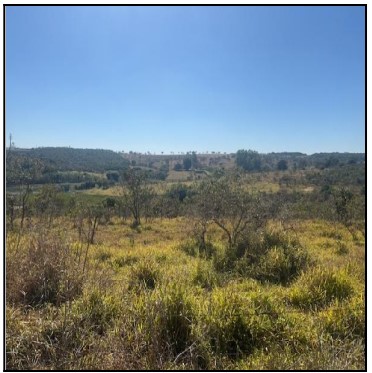 Terreno da Caixa em PERDIGAO / MG - 10277179