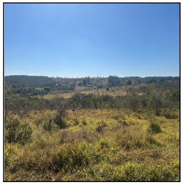 Terreno da Caixa em PERDIGAO / MG - 10277181