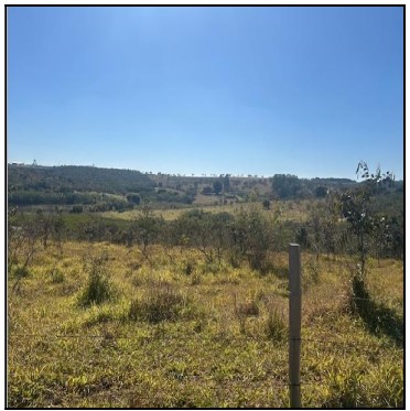 Terreno da Caixa em PERDIGAO / MG - 10277183