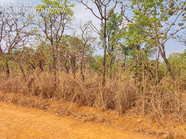 Terreno da Caixa em LUZIANIA / GO - 1444406117503