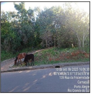 Imóvel da Caixa em PORTO ALEGRE / RS - 10278715