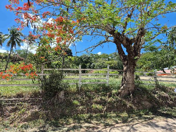 Casa da Caixa em PARAIBA DO SUL / RJ - 8444411797825