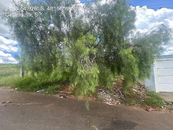 Terreno da Caixa em CATANDUVA / SP - 8444425689523