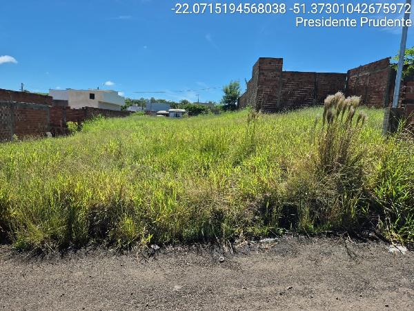 Terreno da Caixa em PRESIDENTE PRUDENTE / SP - 8444427473692