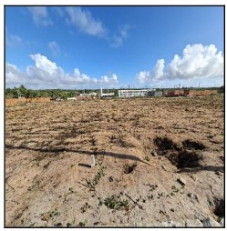 Terreno da Caixa em PARAIPABA / CE - 10286389