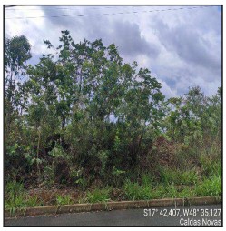 Terreno da Caixa em CALDAS NOVAS / GO - 10290975