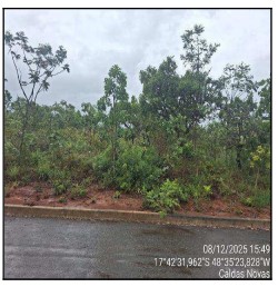 Terreno da Caixa em CALDAS NOVAS / GO - 10290977
