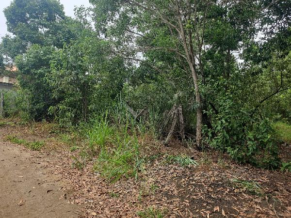 Terreno da Caixa em VILA VELHA / ES - 1444415324443