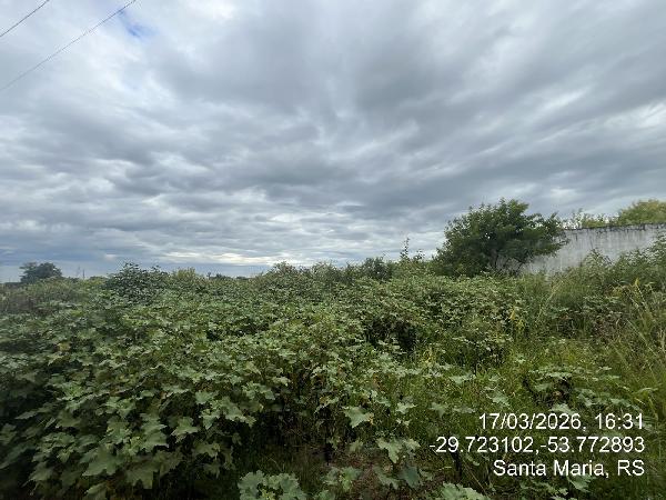 Terreno da Caixa em SANTA MARIA / RS - 1555515611233