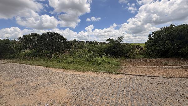 Terreno da Caixa em ALIANCA / PE - 1555520660247