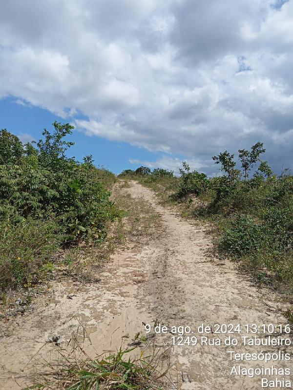 Terreno da Caixa em ALAGOINHAS / BA - 1555535804258