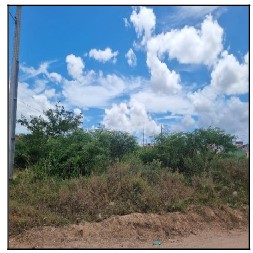 Terreno da Caixa em NOSSA SENHORA DO SOCORRO / SE - 8444427514224