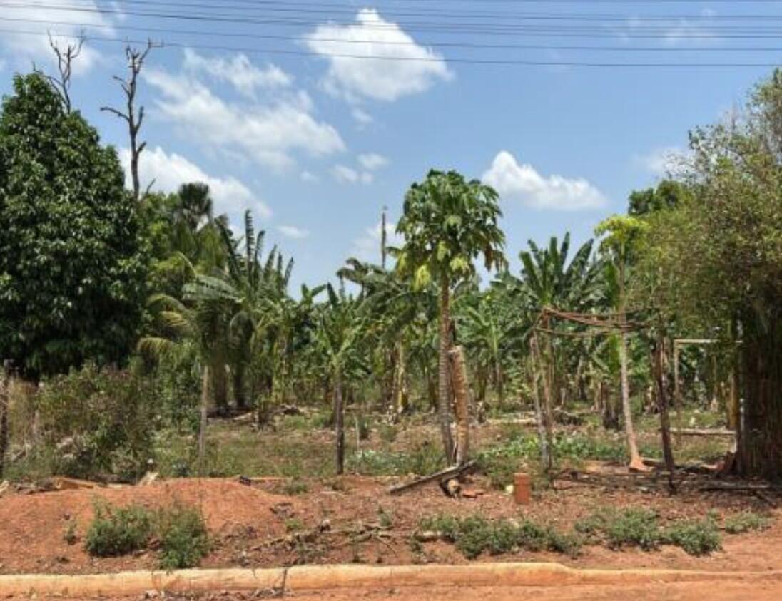 Terreno Bradesco em São João Do Paraiso / MA - 5282004d