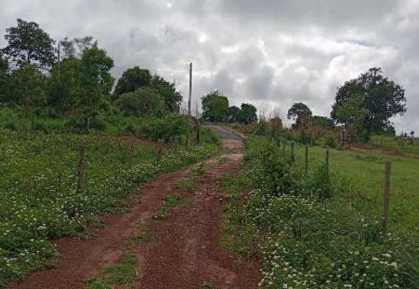 Imóvel Rural Bradesco em Aruanã / GO - 5fb1de0e