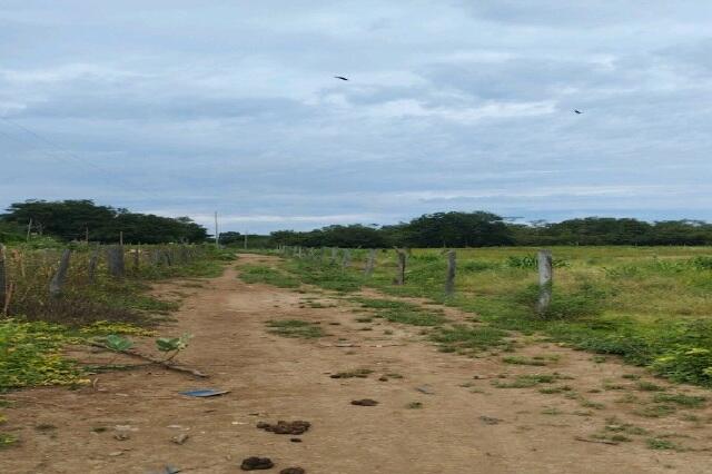 Imóvel Rural Bradesco em Itacarambi / MG - c9d1739f