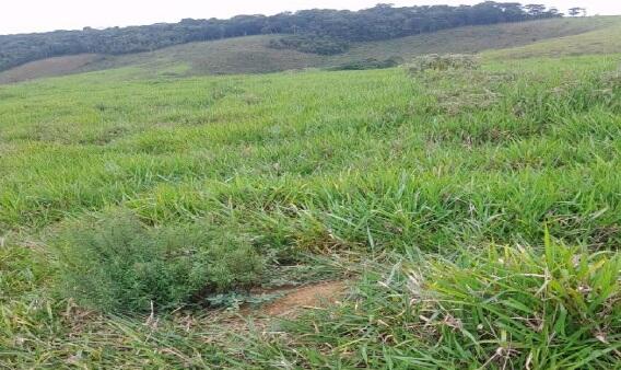 Imóvel Rural Bradesco em Juiz De Fora / MG - 88af983f
