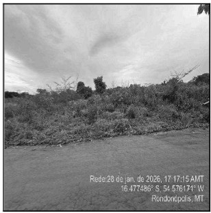Terreno da Caixa em RONDONOPOLIS / MT - 10298830