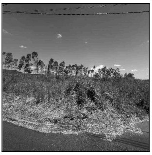 Terreno da Caixa em UMUARAMA / PR - 10300787