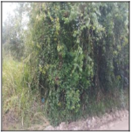 Terreno da Caixa em ITABORAI / RJ - 1444421790949