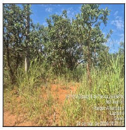 Terreno da Caixa em LUZIANIA / GO - 1555526077500